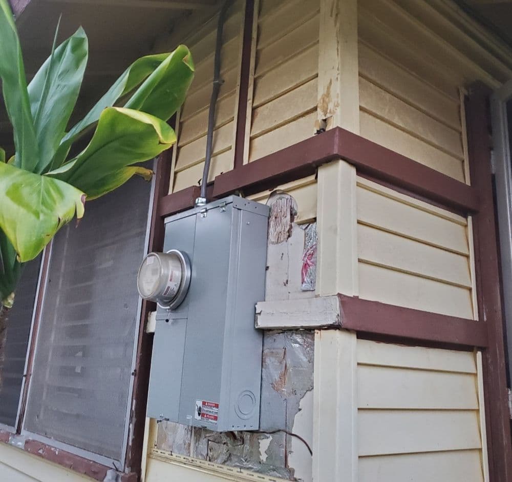 Electric meter mounted on a house exterior with peeling paint and nearby green plant.